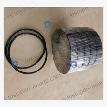 R01-1002-010 Packing Seal