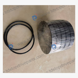 R01-1002-010 Packing Seal