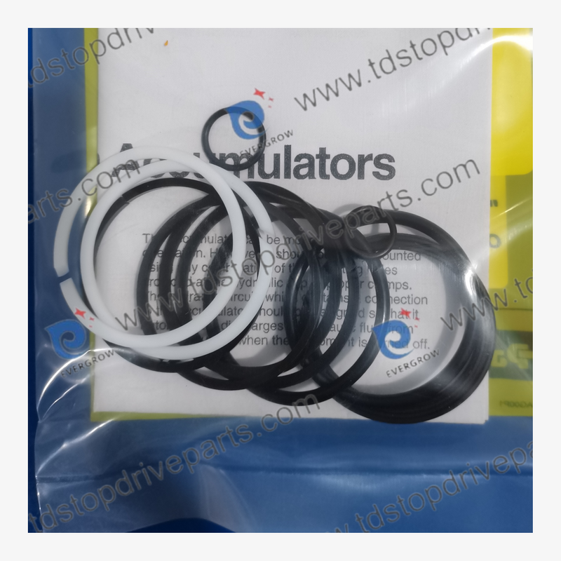 30124575 Seal Kit Accumulator