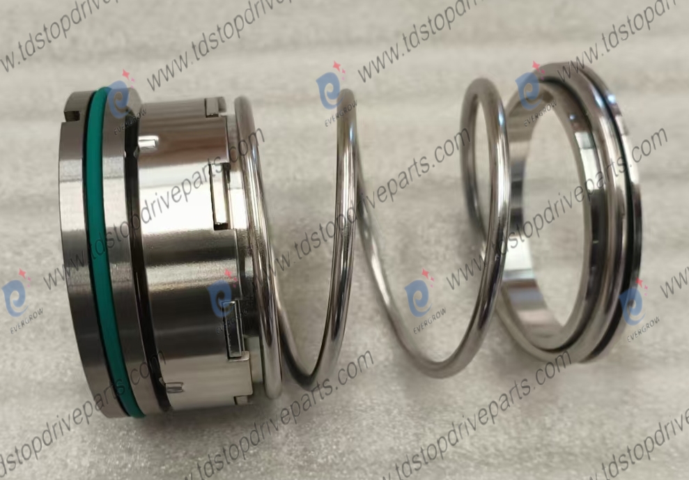 22451-1 mechanical seal 648414308 P25MSTT Evergrow