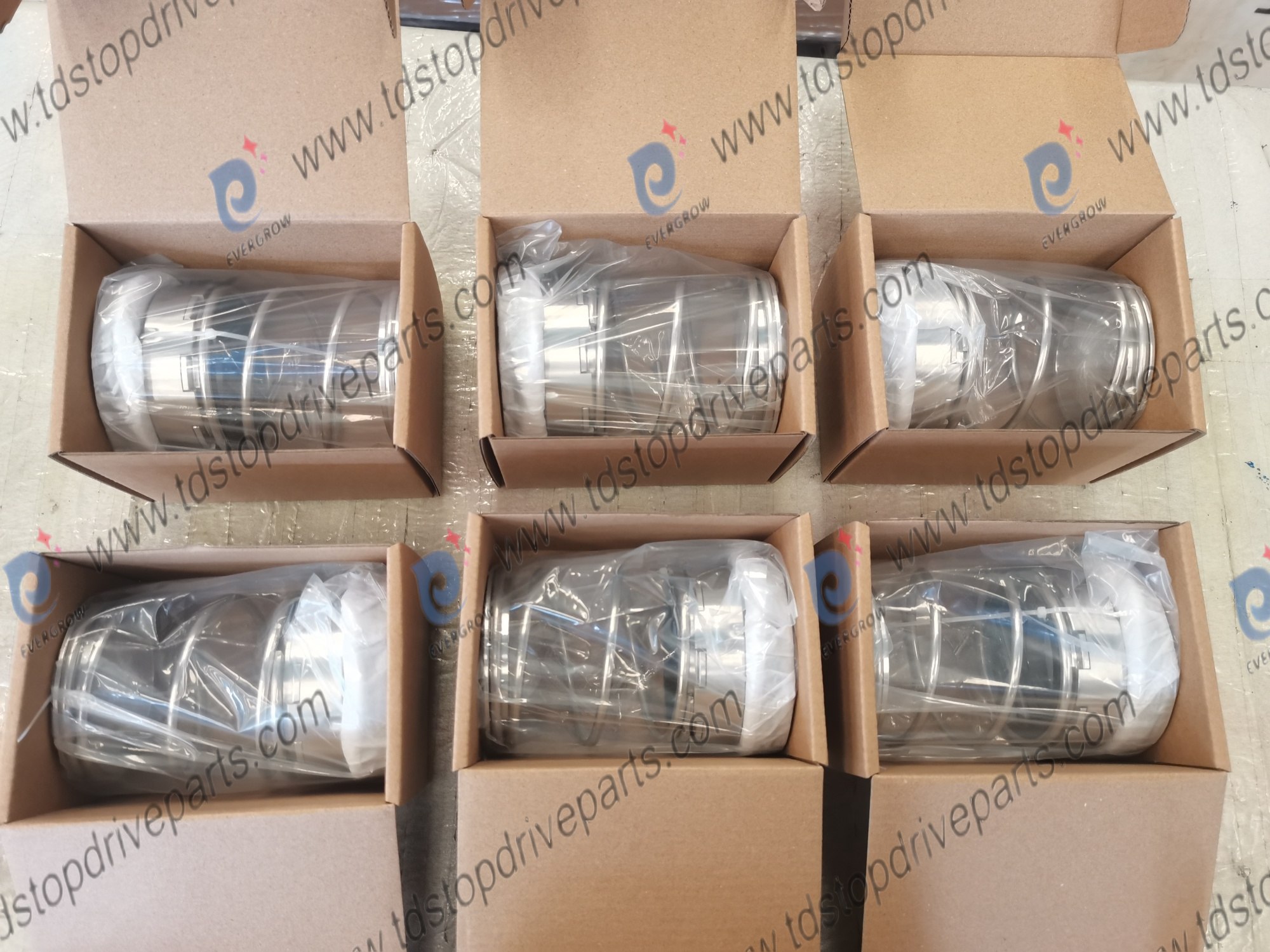 22451-1A P25MSTT mechanical seal cartons Evergrow