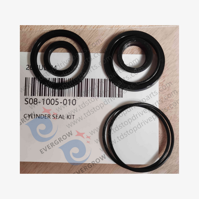 S08-1005-010 Cylinder Seal Kit