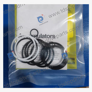 87605-1 Seal Kit Accumulator