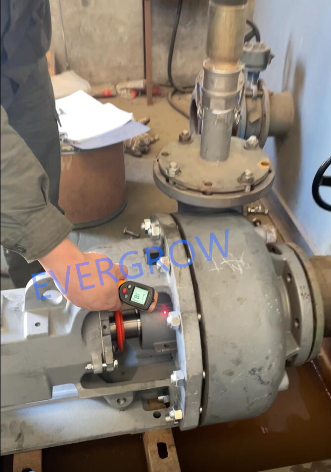 ex-factory test for centrifugal pump Magnum 6x5x11-5 evergrow