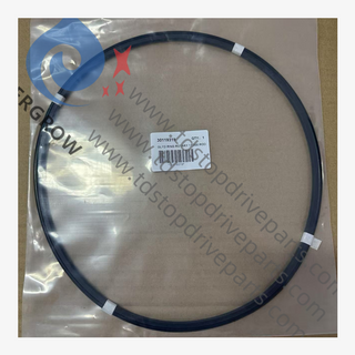 30119319 GLYD Ring