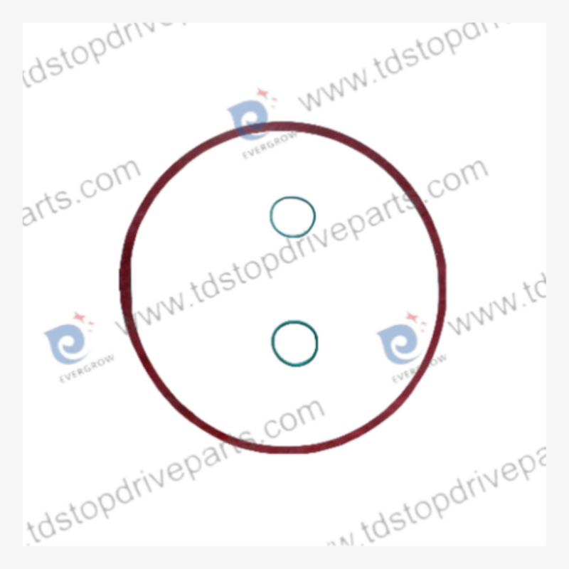 P25HG Gasket, casing 10399-46-1A