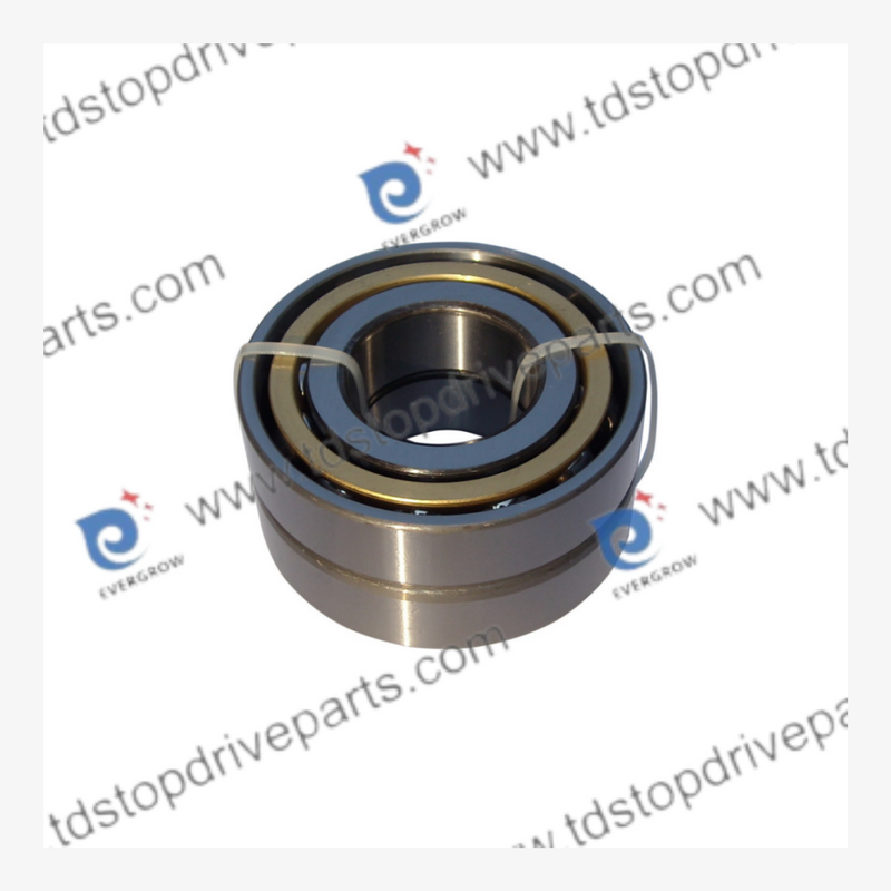 20616-1 Bearing, Outboard