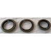 20619A Oil Seal Kit P25OSK for Magnum and 250 Centrifugal Pumps