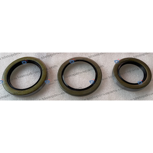 20619A Oil Seal Kit P25OSK for Magnum and 250 Centrifugal Pumps