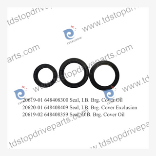 Oil Seal Kit