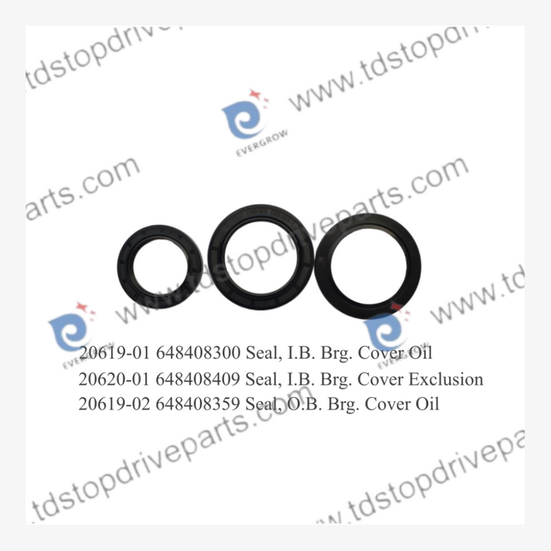 Oil Seal Kit