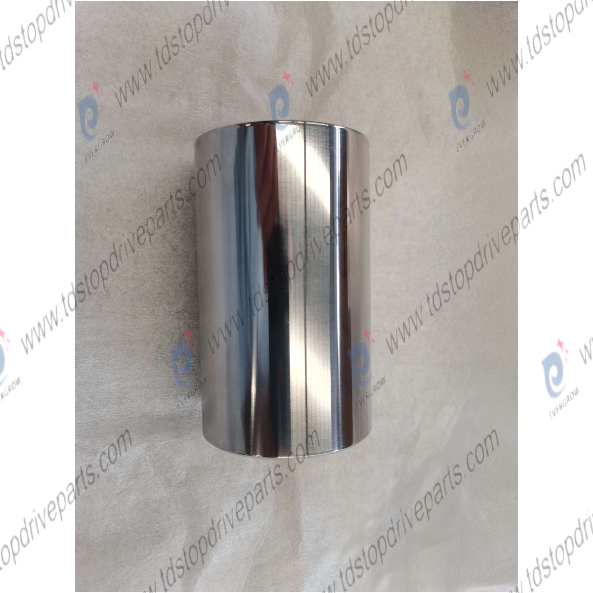 bushing 20943-21A 641102182 P25OBBS Evergrow