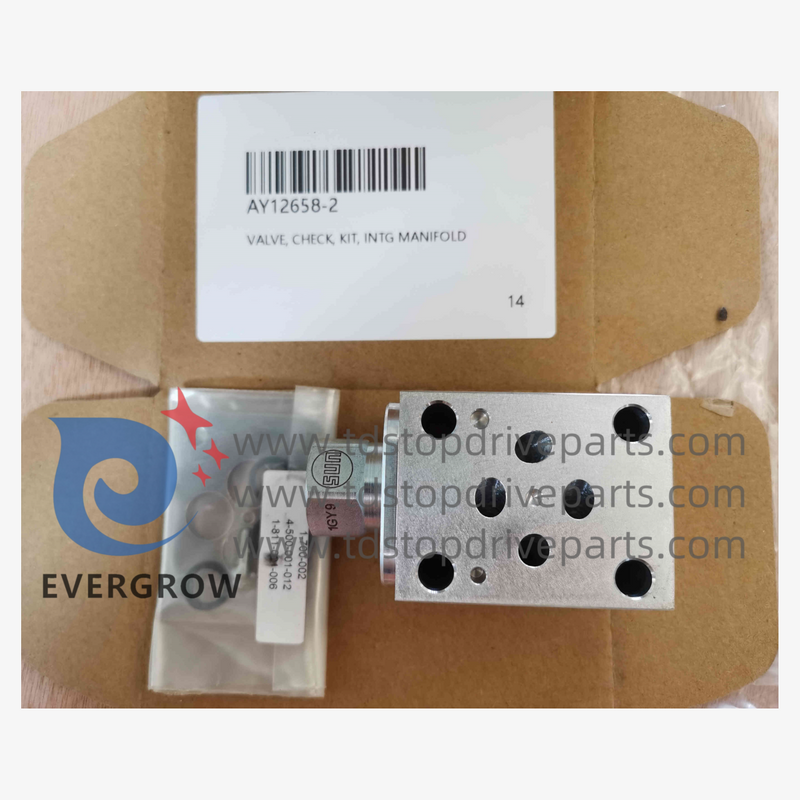 AY12658-2 Valve Check Kit INTG Manifold
