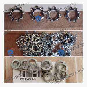 Canrig Lockwashers Collection